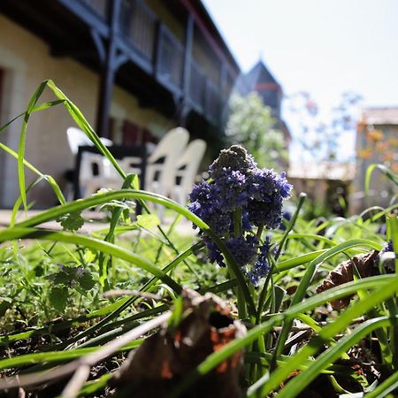 Au Repos Des Elfes Villa Braye-sous-Faye Bagian luar foto